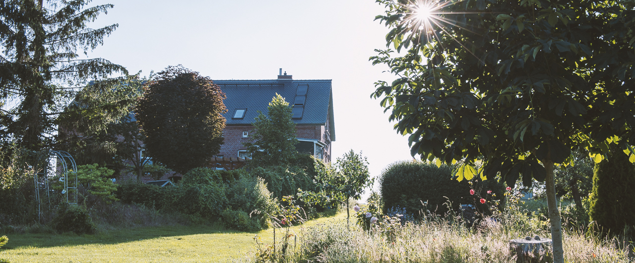 Das Bombina-Haus vom Garten aus — Sommerlicht über Wiese und Bäumen