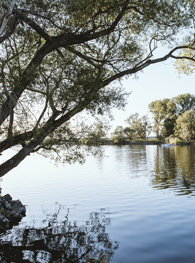 Stilles Havelufer unter Weiden, im Hintergrund Boote